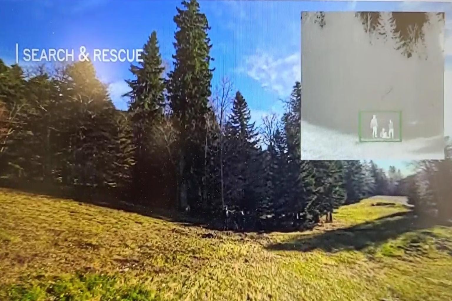 Vue de la scène forestière avec une vignette thermique séparée, issue de la présentation XPLOCAM